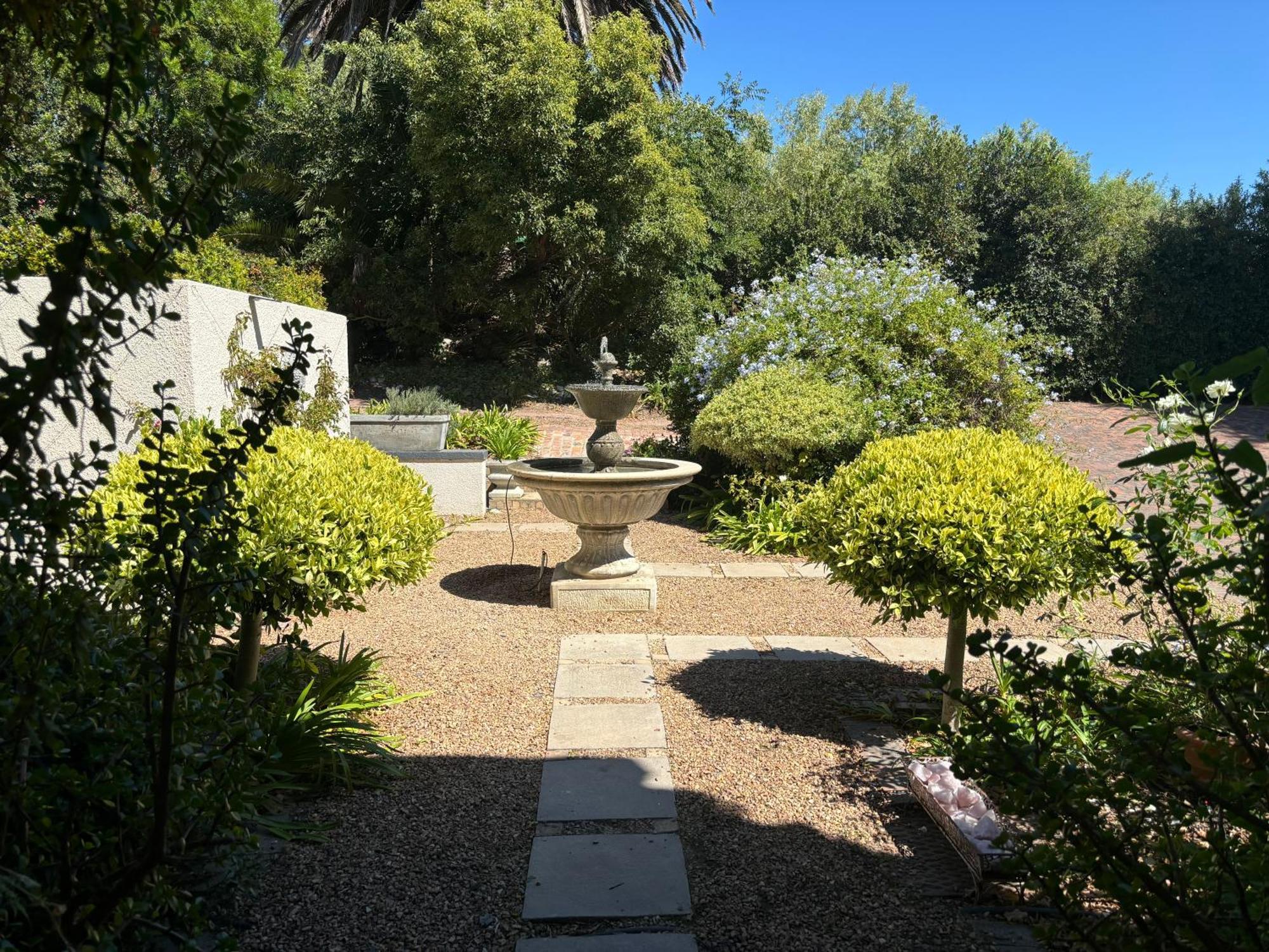 In The Vine Country Manor Guesthouse 斯泰伦博斯 外观 照片