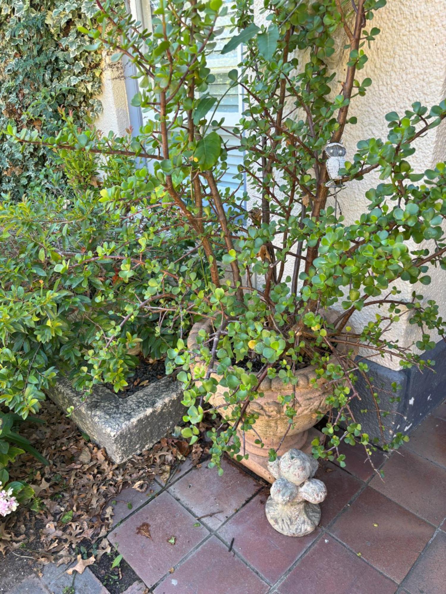 In The Vine Country Manor Guesthouse 斯泰伦博斯 外观 照片