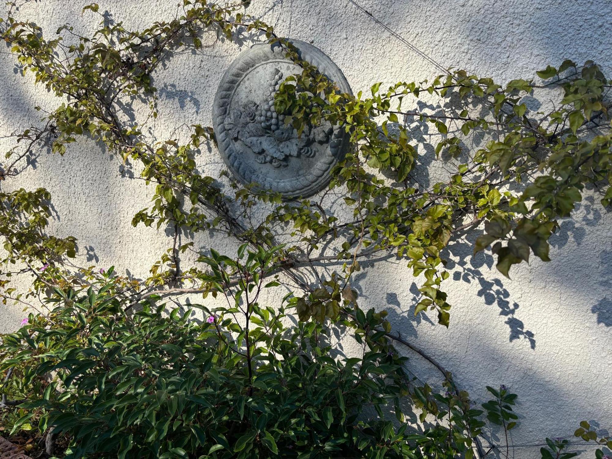 In The Vine Country Manor Guesthouse 斯泰伦博斯 外观 照片